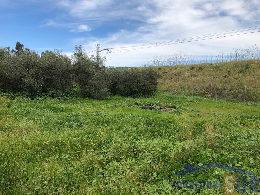 For sale of land in Córdoba