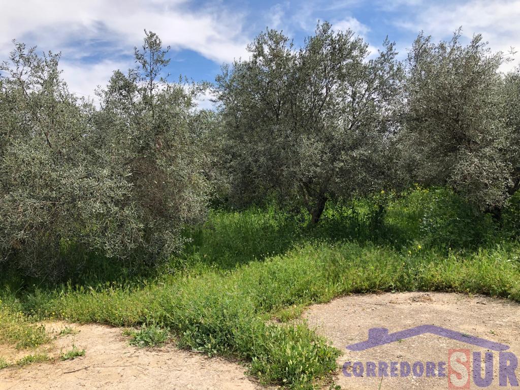 Venta de terreno en Córdoba