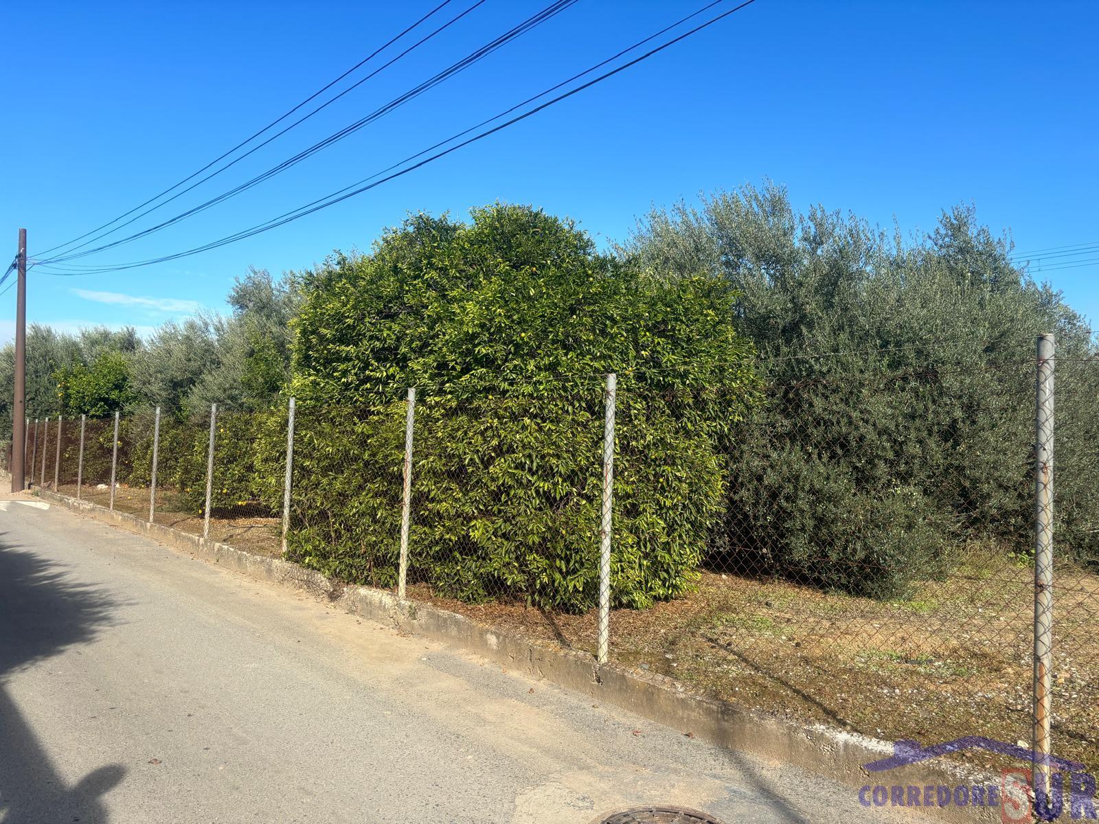 Venta de terreno en Córdoba