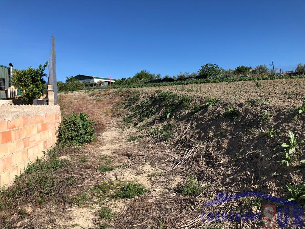 For sale of land in Córdoba