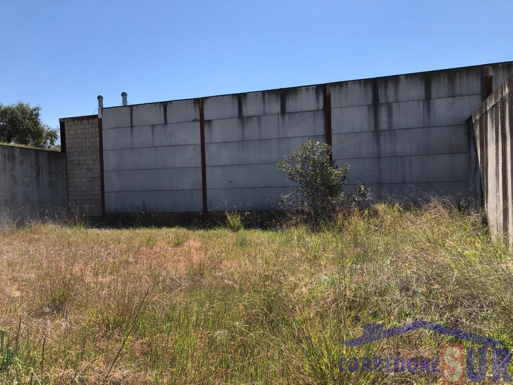 For sale of industrial plant/warehouse in Córdoba