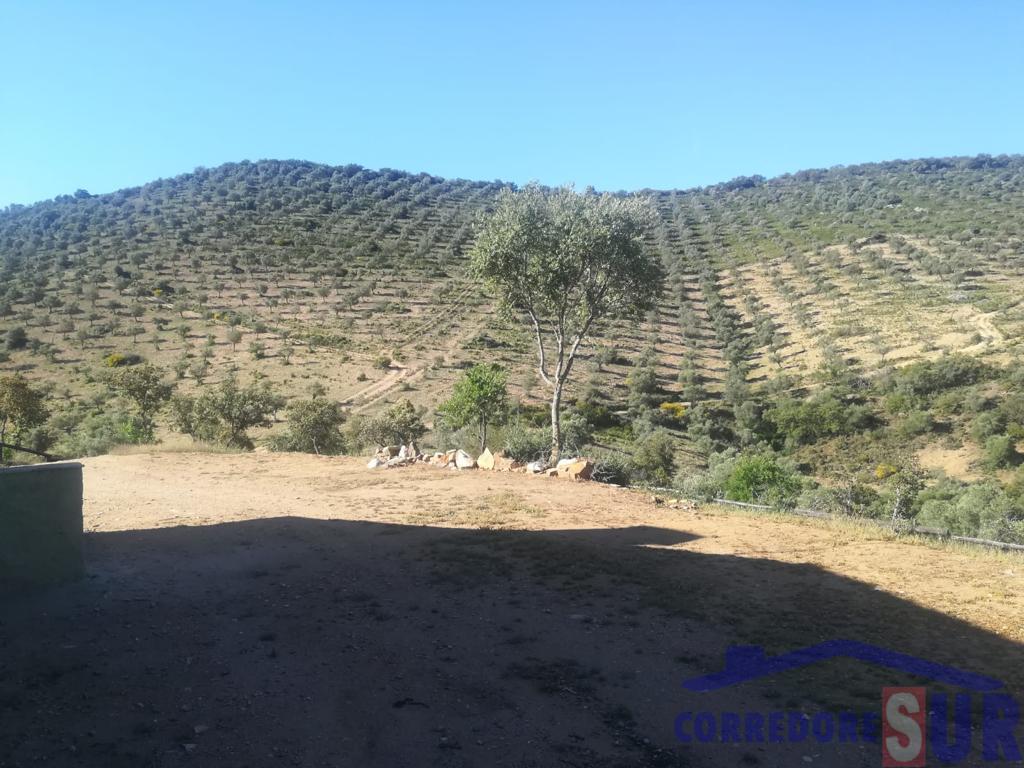 Venta de finca rústica en Córdoba