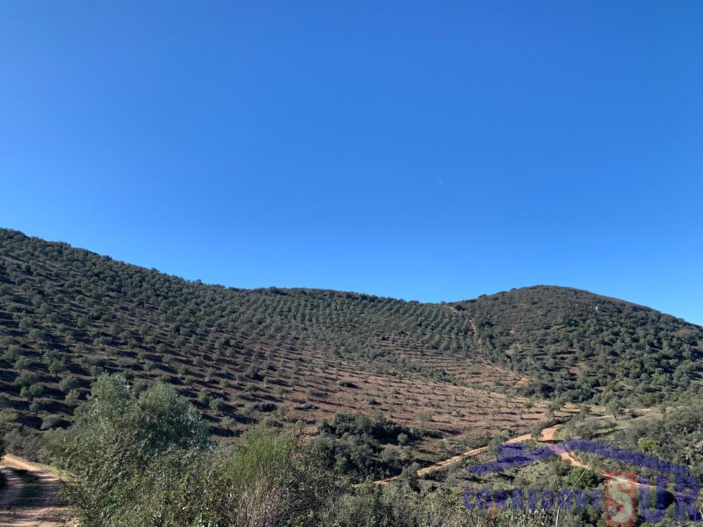 Venta de finca rústica en Córdoba