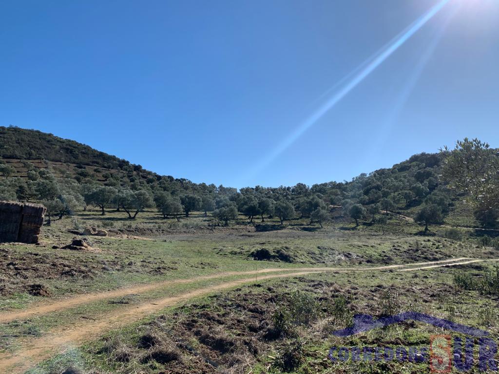 For sale of rural property in Córdoba