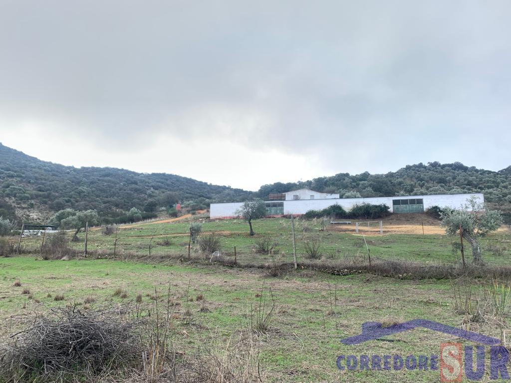 Venta de finca rústica en Córdoba