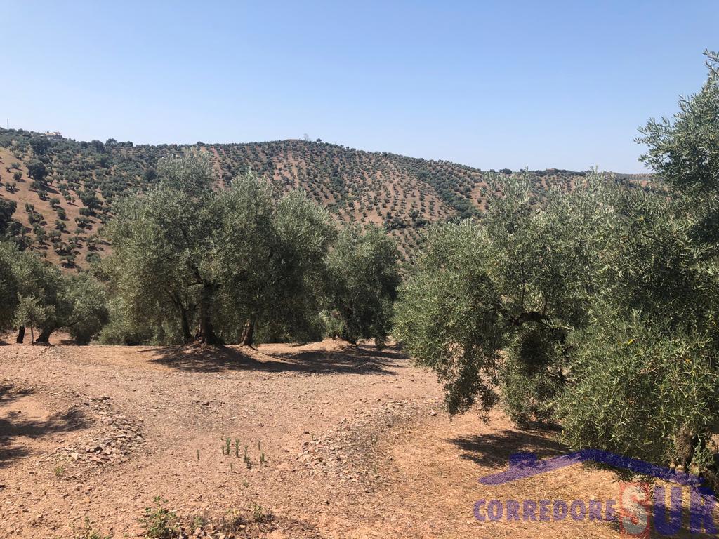 For sale of rural property in Córdoba