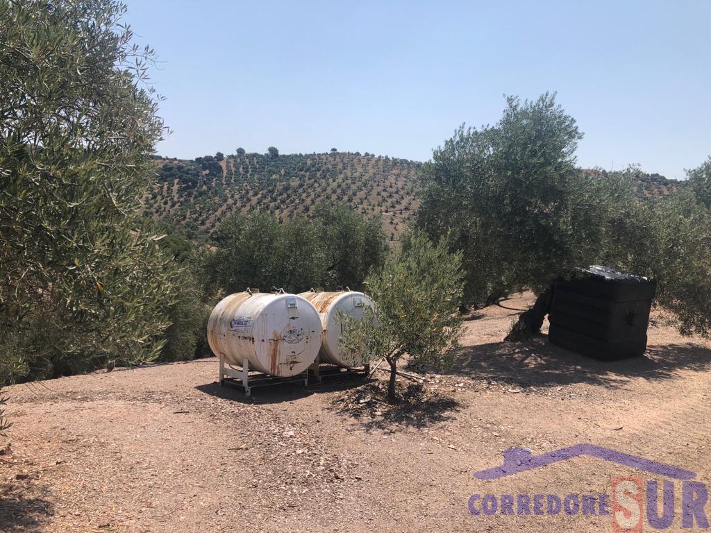 For sale of rural property in Córdoba