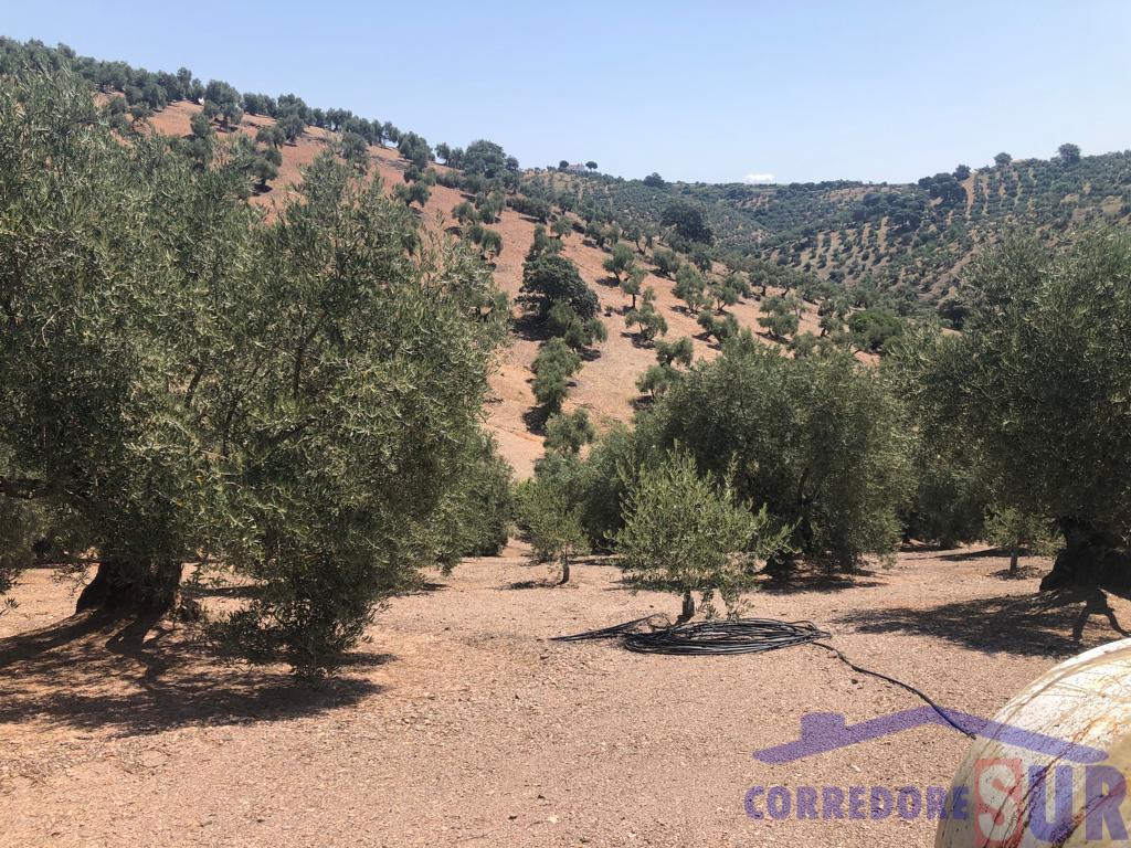 For sale of rural property in Córdoba