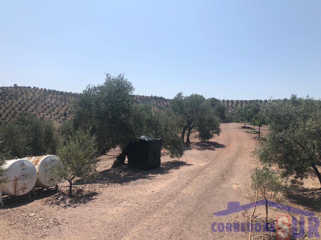 For sale of rural property in Córdoba