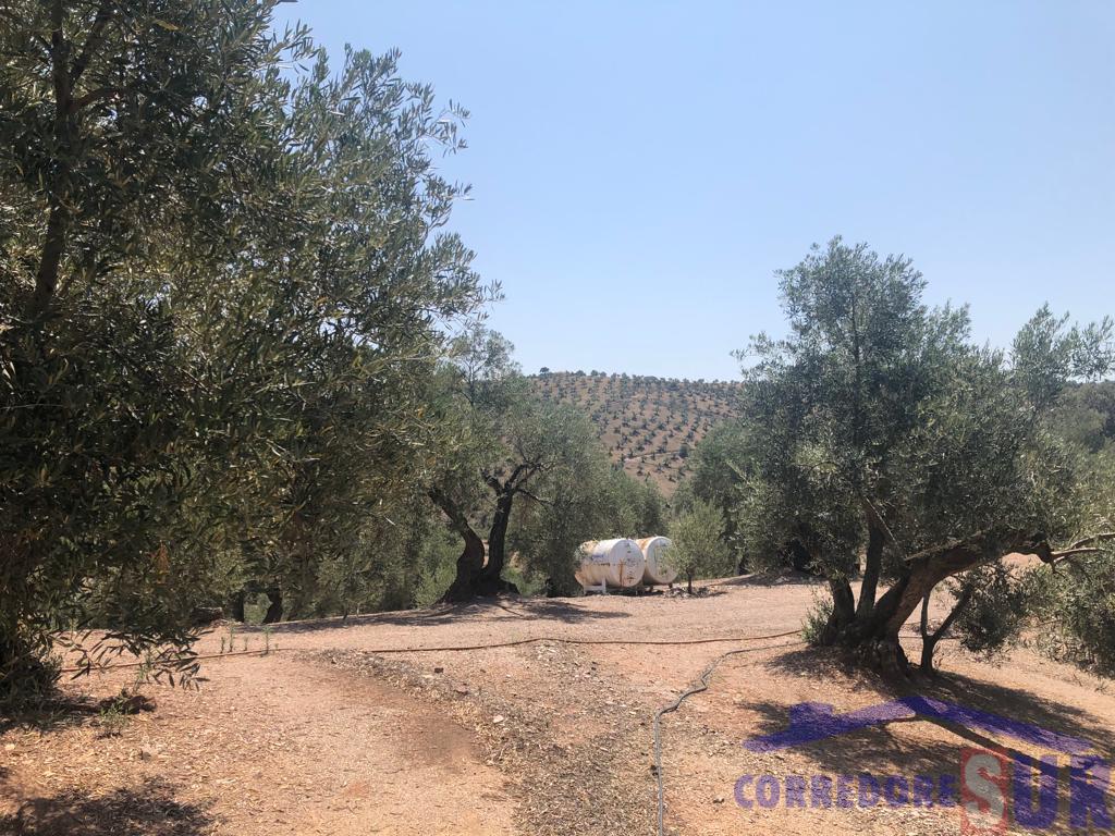 For sale of rural property in Córdoba