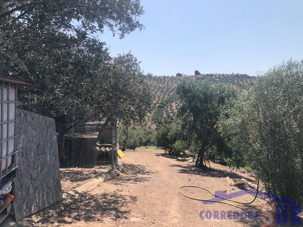 For sale of rural property in Córdoba