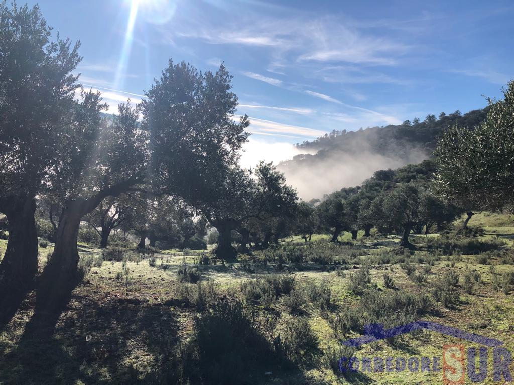 For sale of rural property in Córdoba