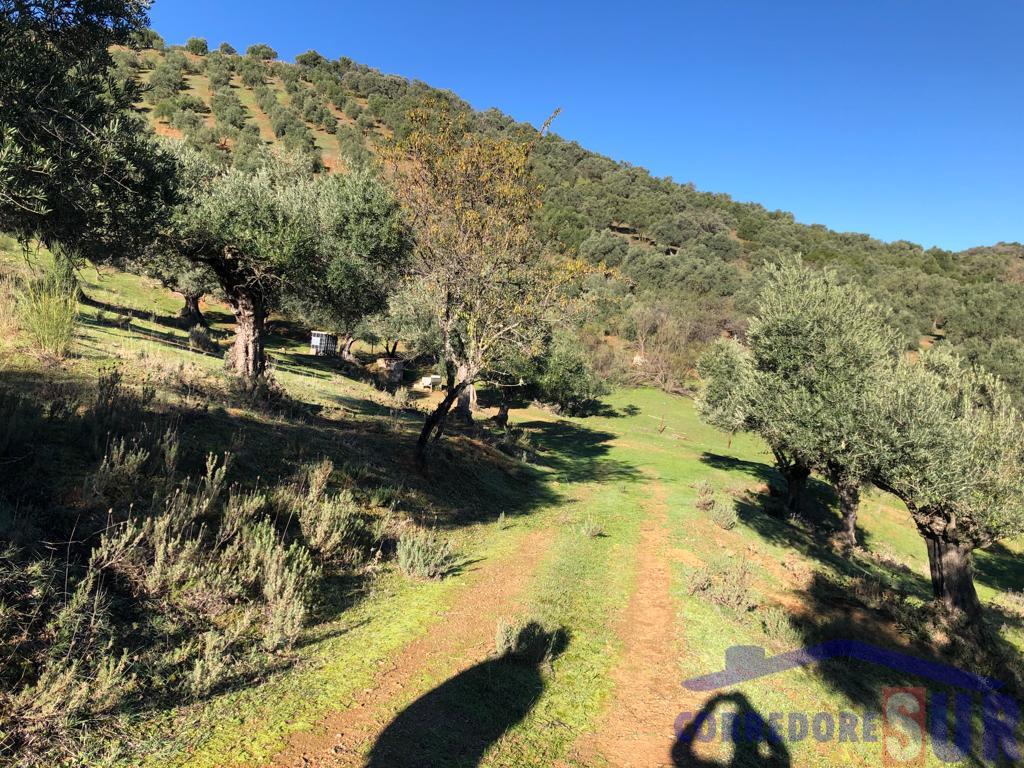 For sale of rural property in Córdoba