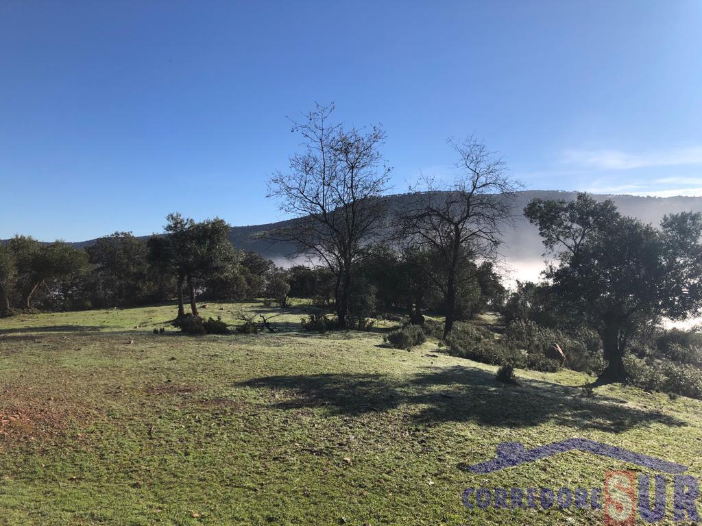 For sale of rural property in Córdoba