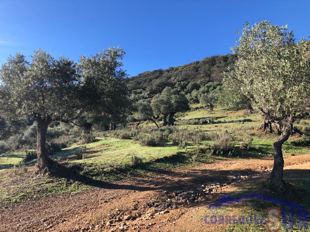 For sale of rural property in Córdoba