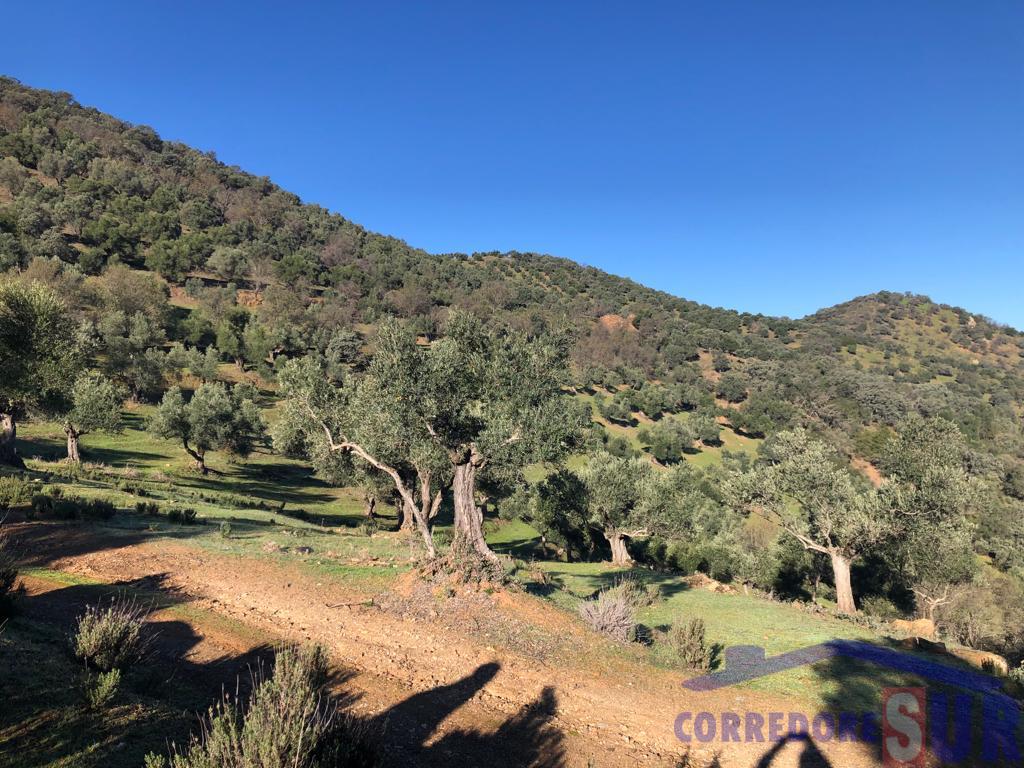 For sale of rural property in Córdoba