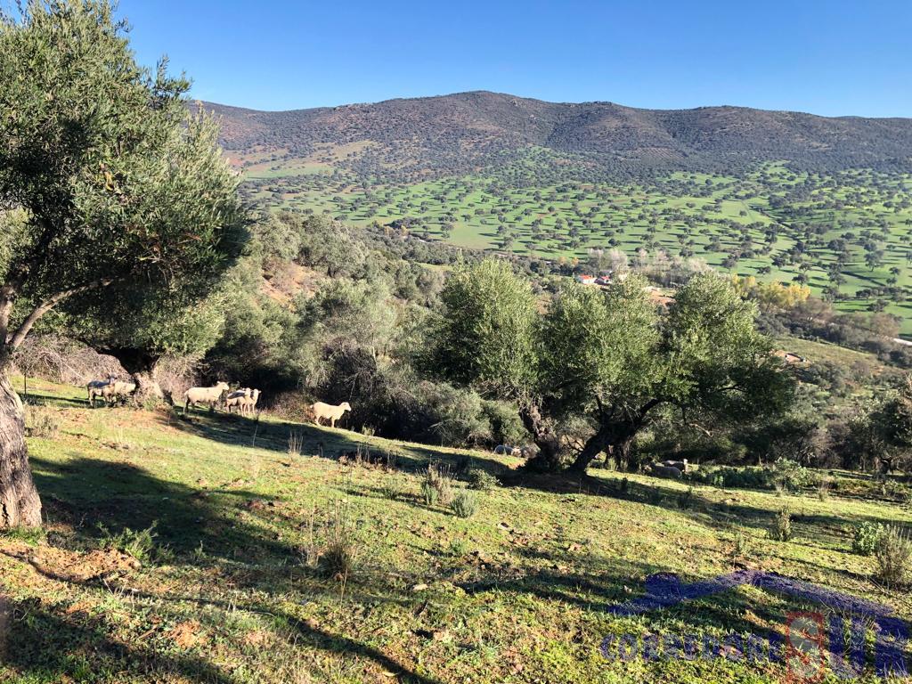 For sale of rural property in Córdoba