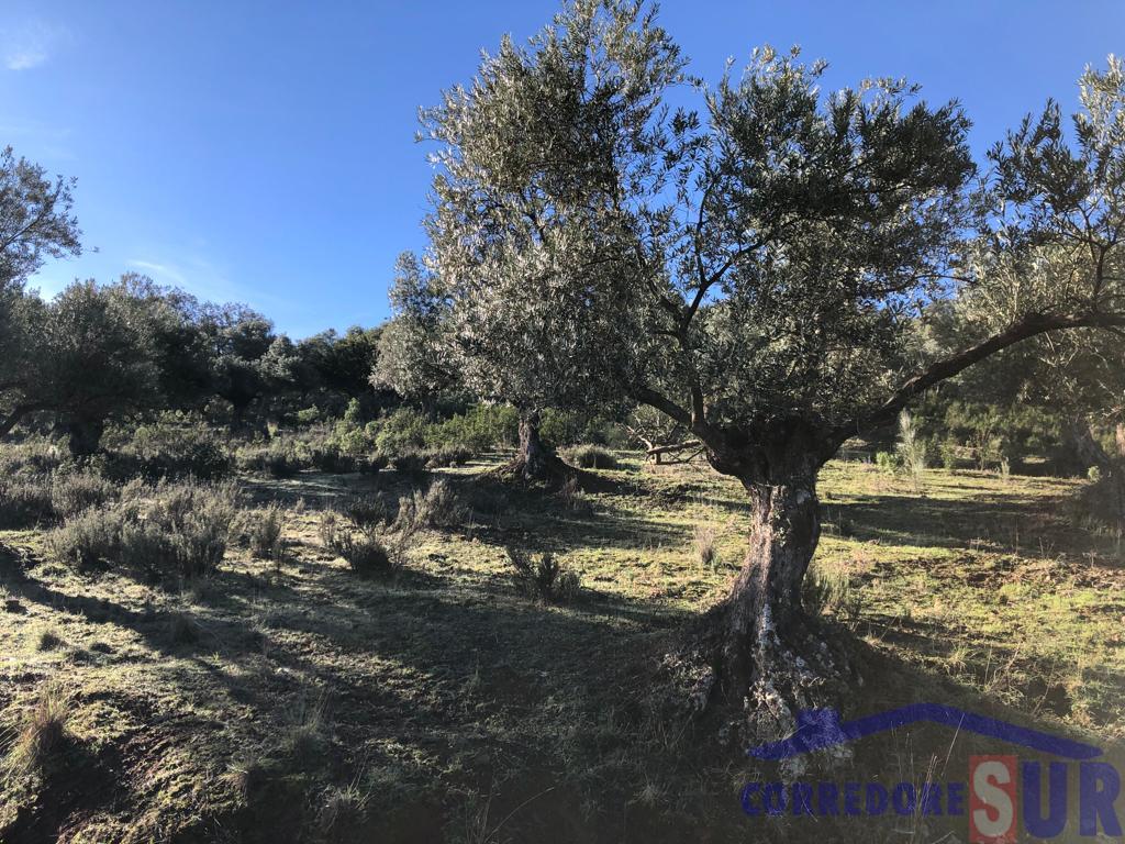 For sale of rural property in Córdoba