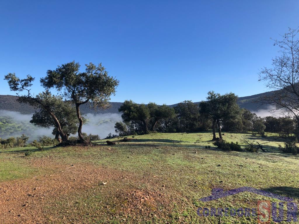 For sale of rural property in Córdoba