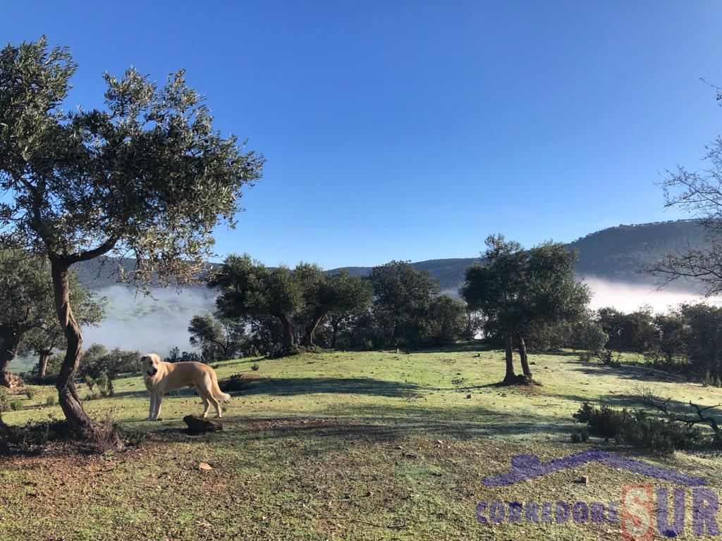 For sale of rural property in Córdoba