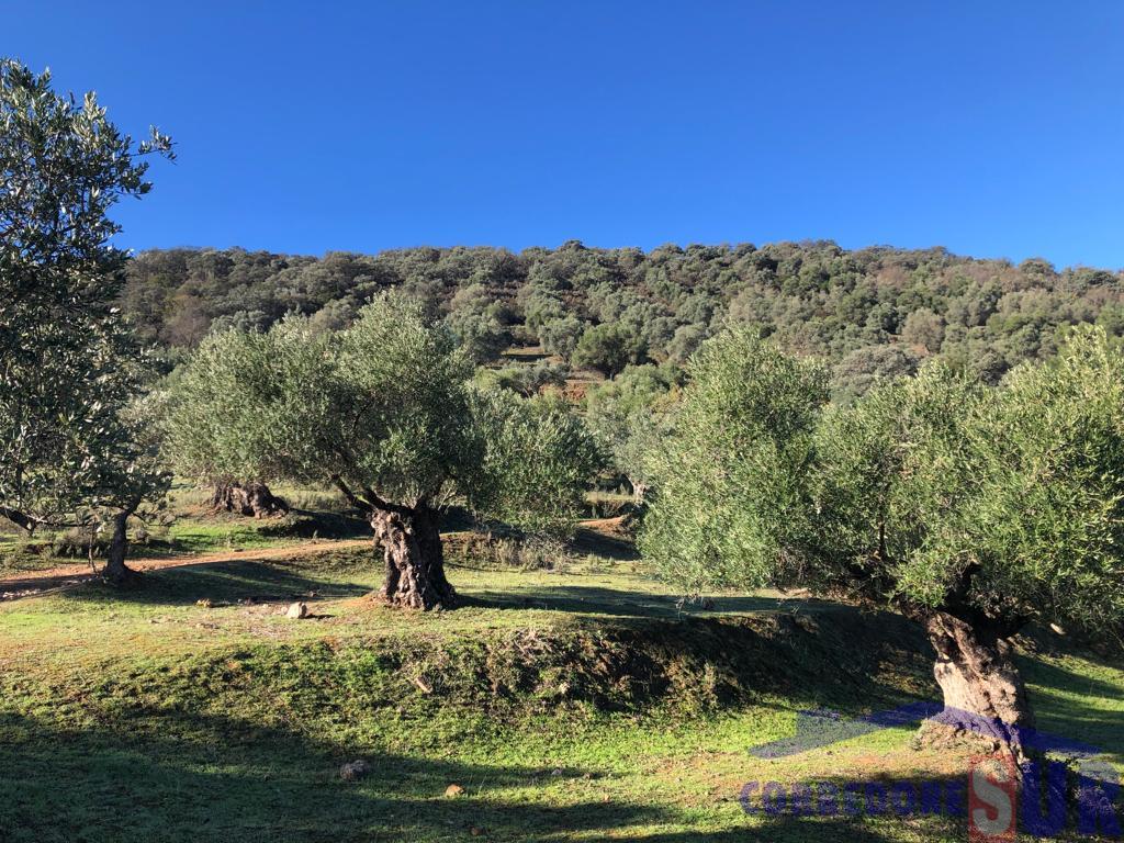 For sale of rural property in Córdoba