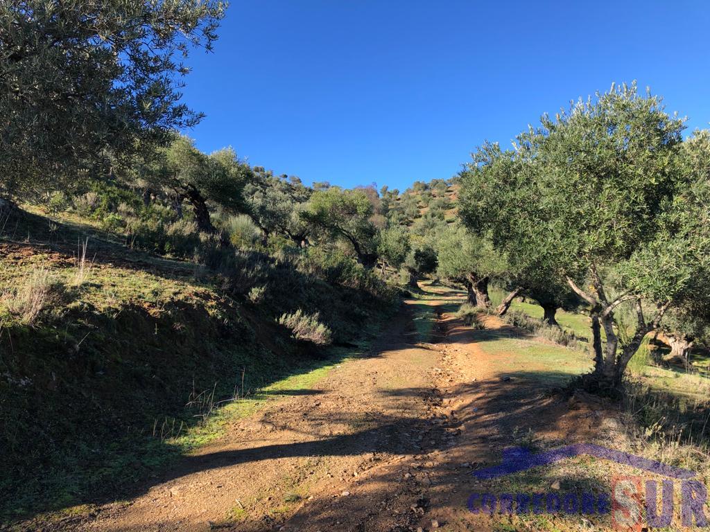 For sale of rural property in Córdoba