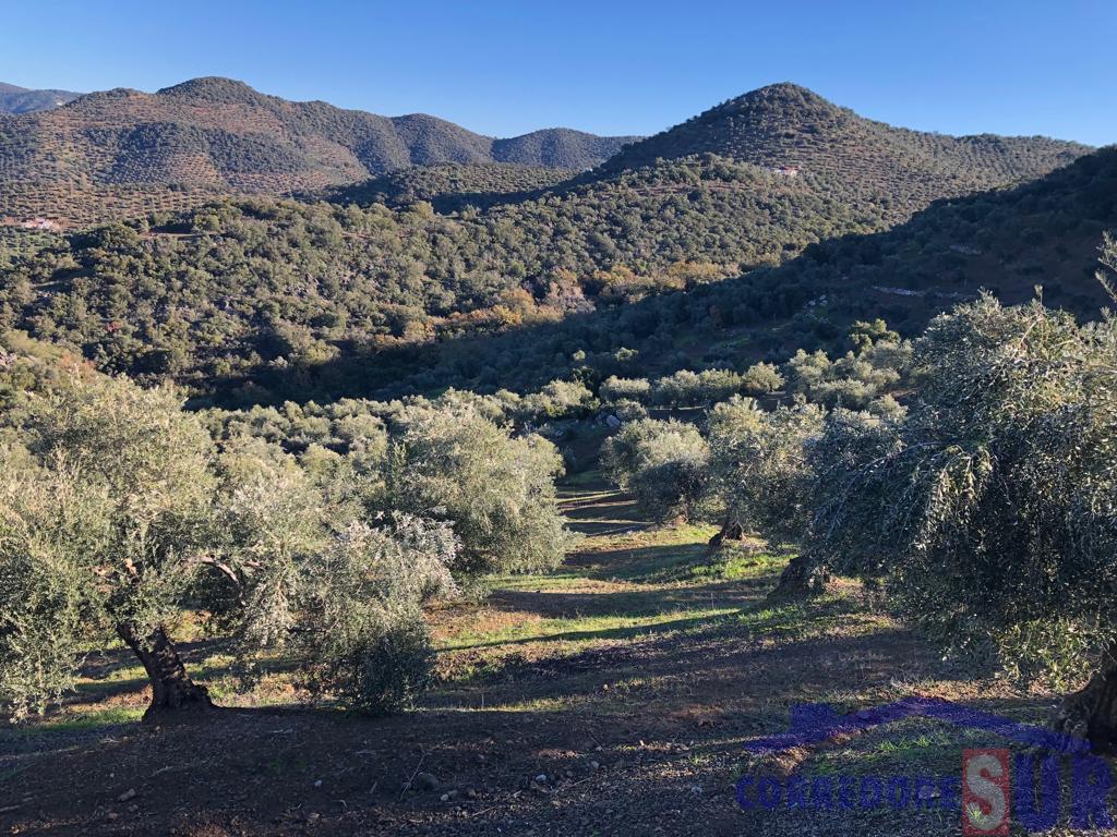 Venta de finca rústica en Córdoba