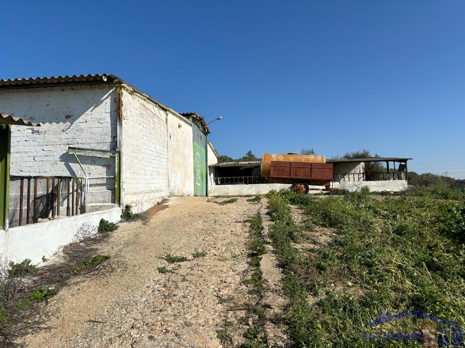 For sale of land in Albanchez de Mágina