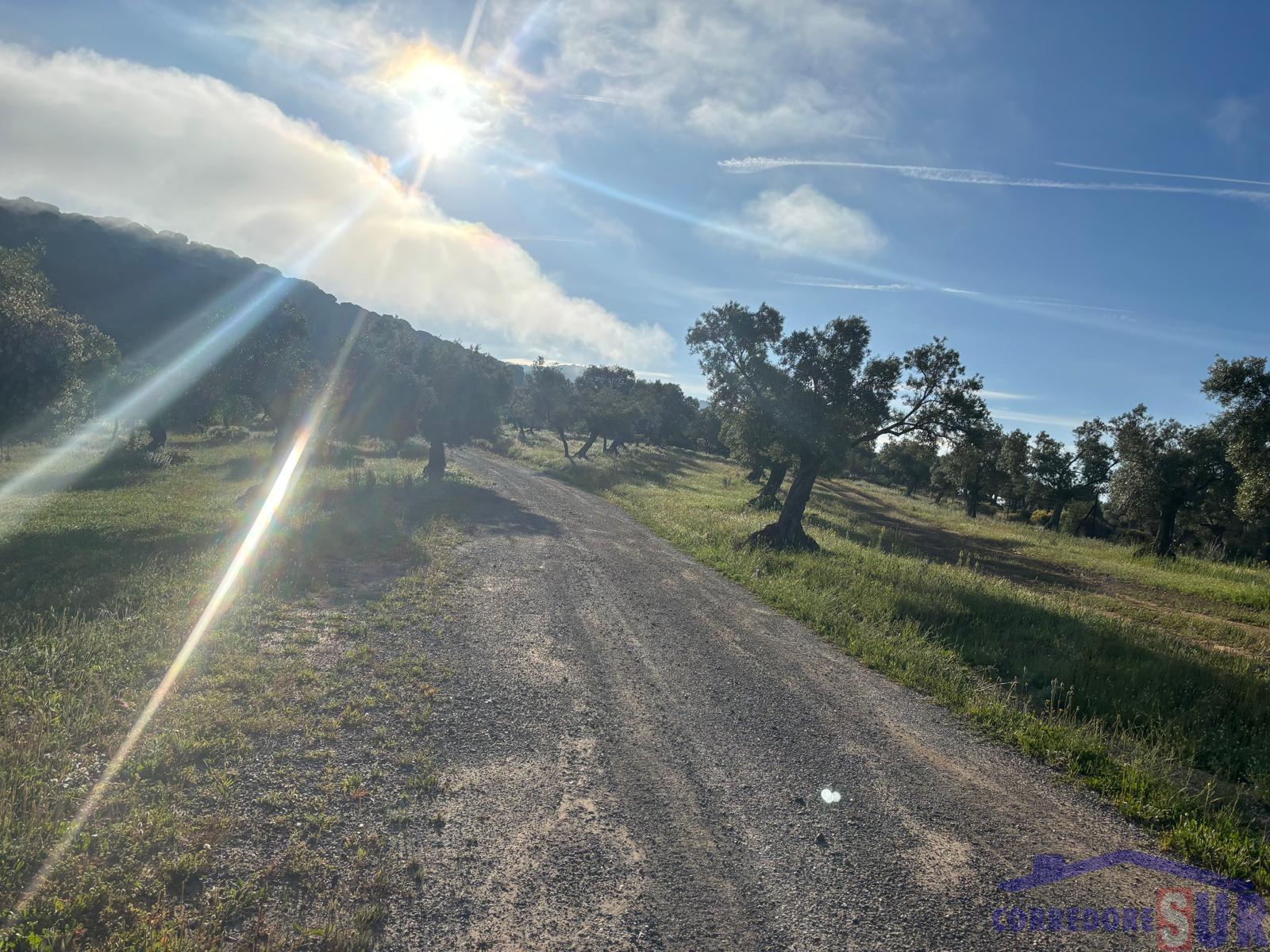 Venta de finca rústica en Córdoba