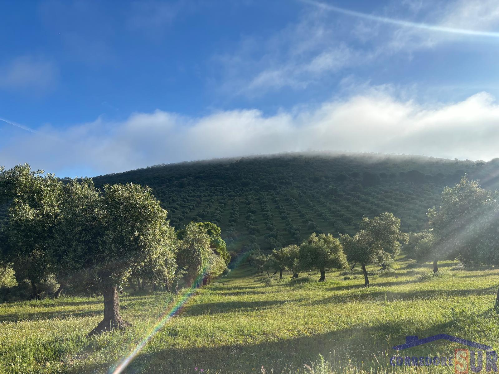 For sale of rural property in Córdoba
