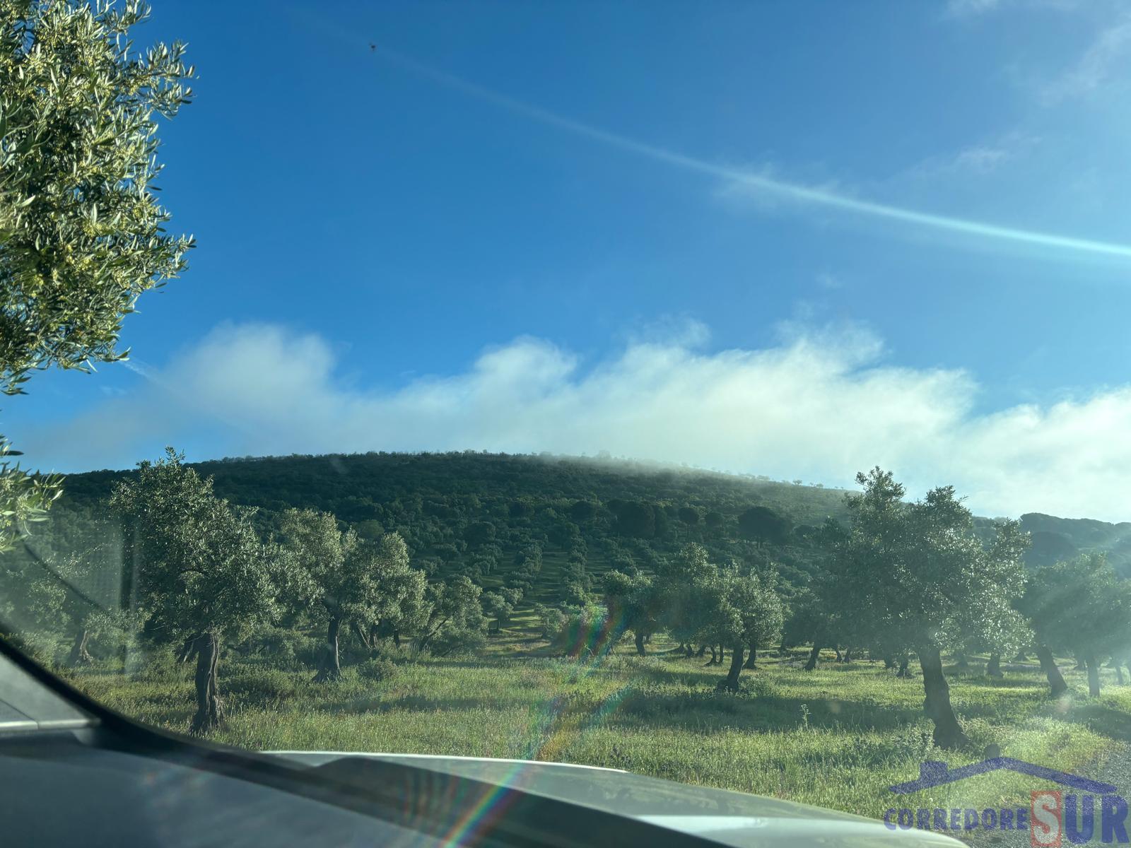 For sale of rural property in Córdoba