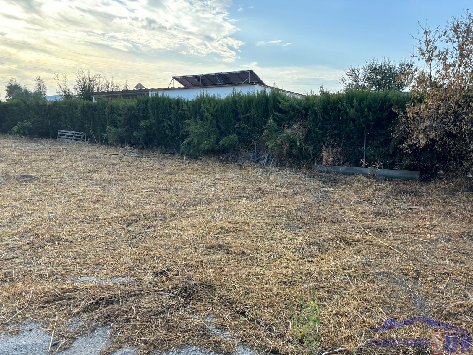 For sale of land in Córdoba