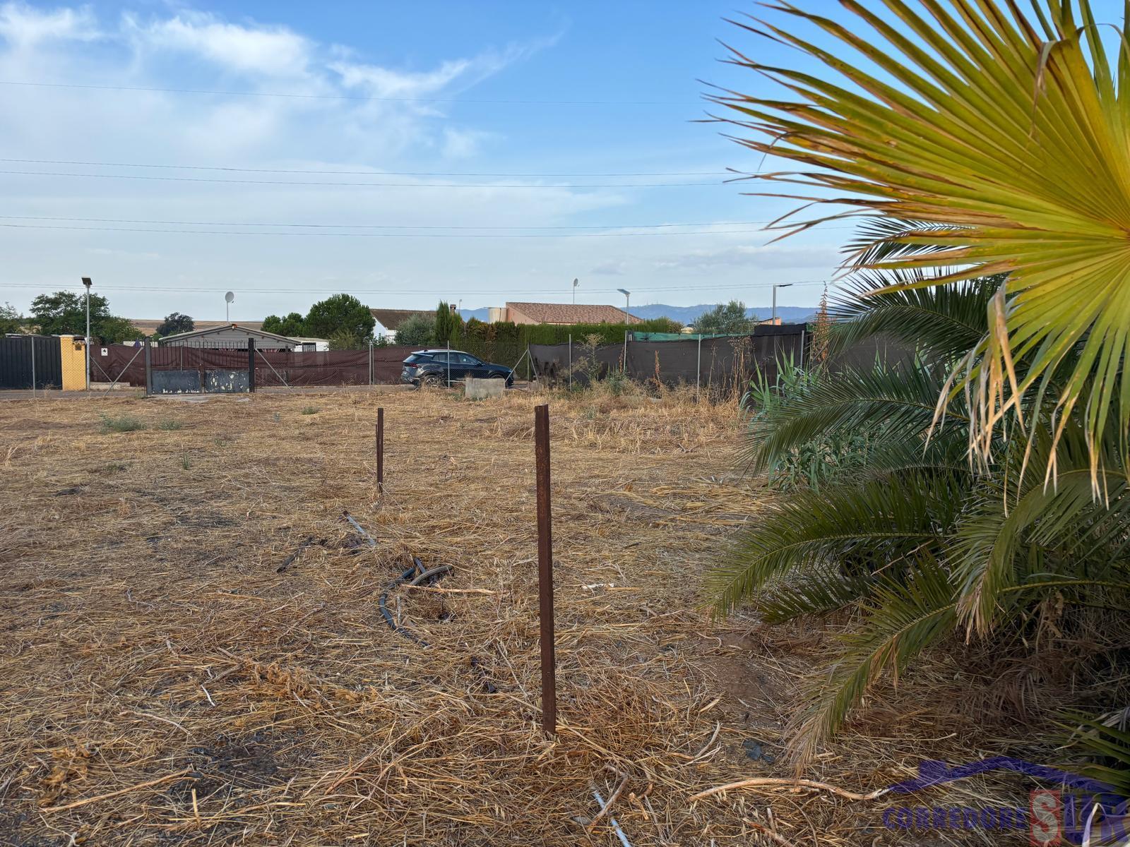 For sale of land in Córdoba
