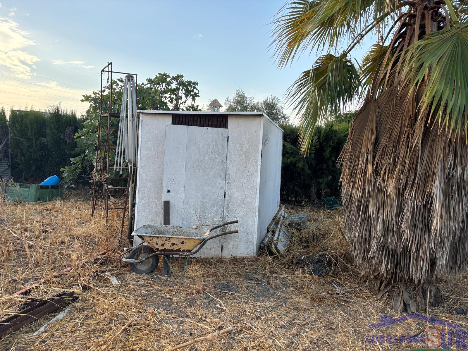 For sale of land in Córdoba