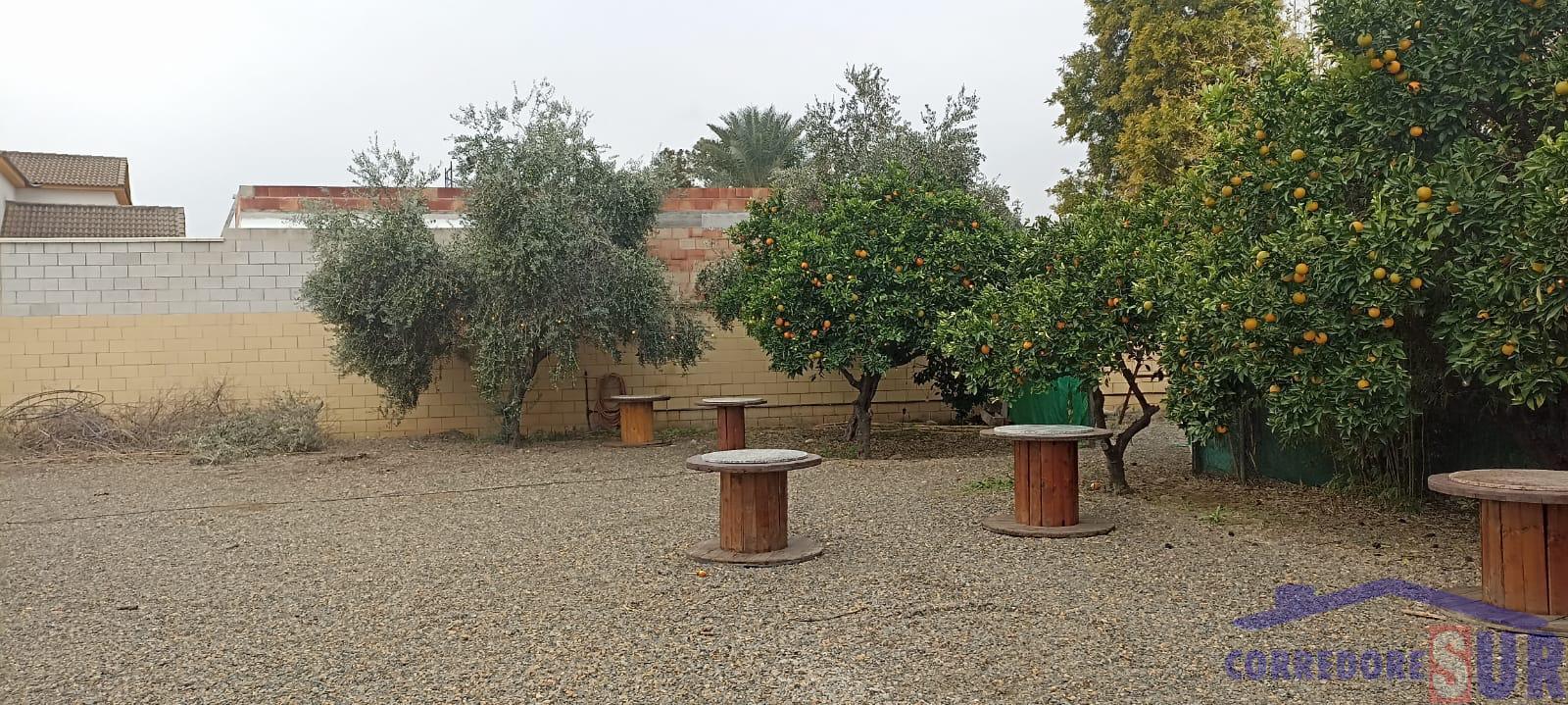For sale of house in Córdoba