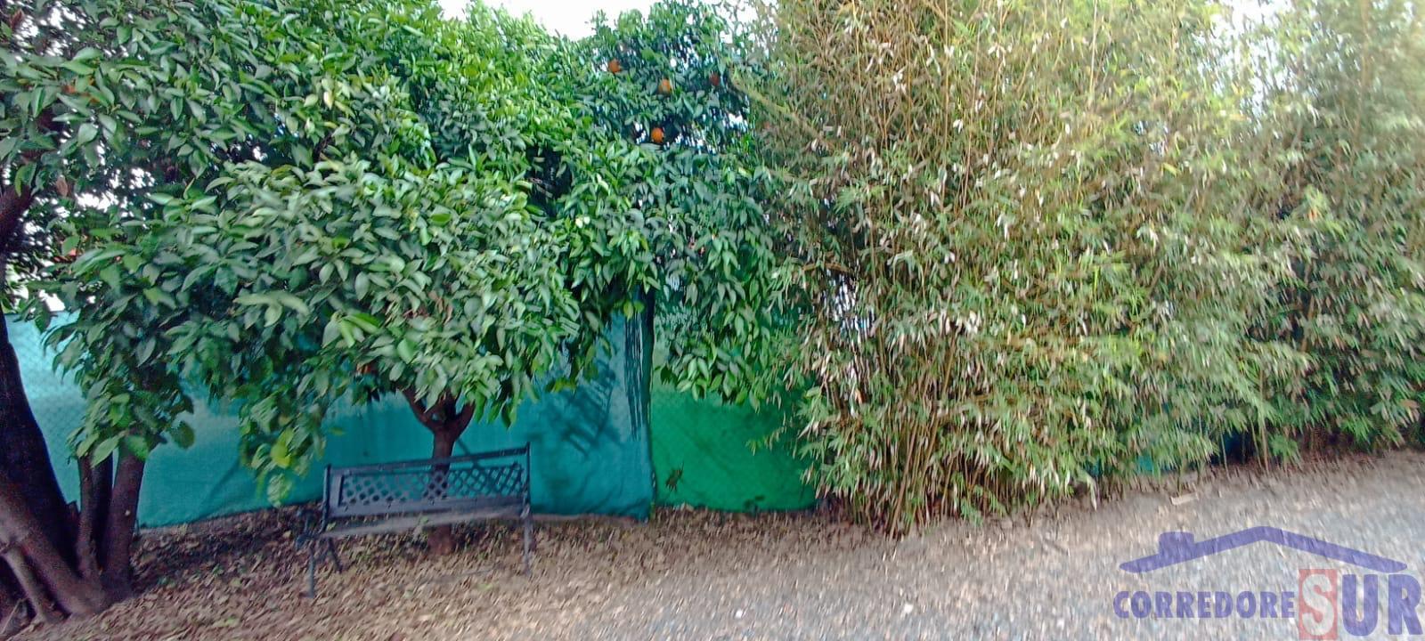 For sale of house in Córdoba