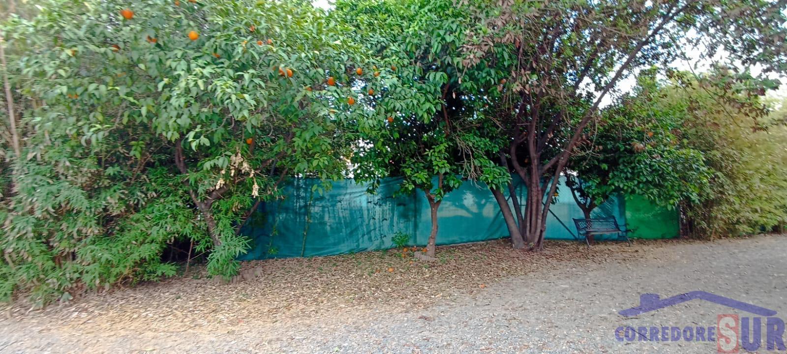 For sale of house in Córdoba