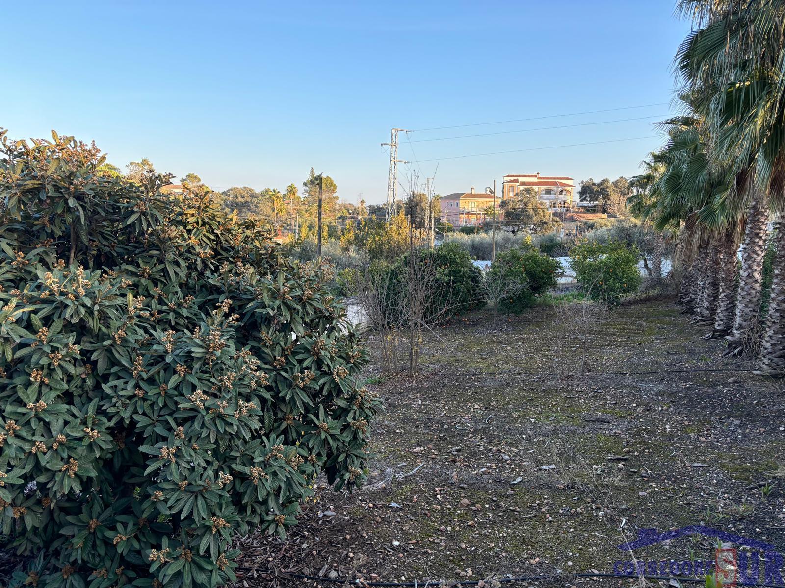Venta de casa en Córdoba