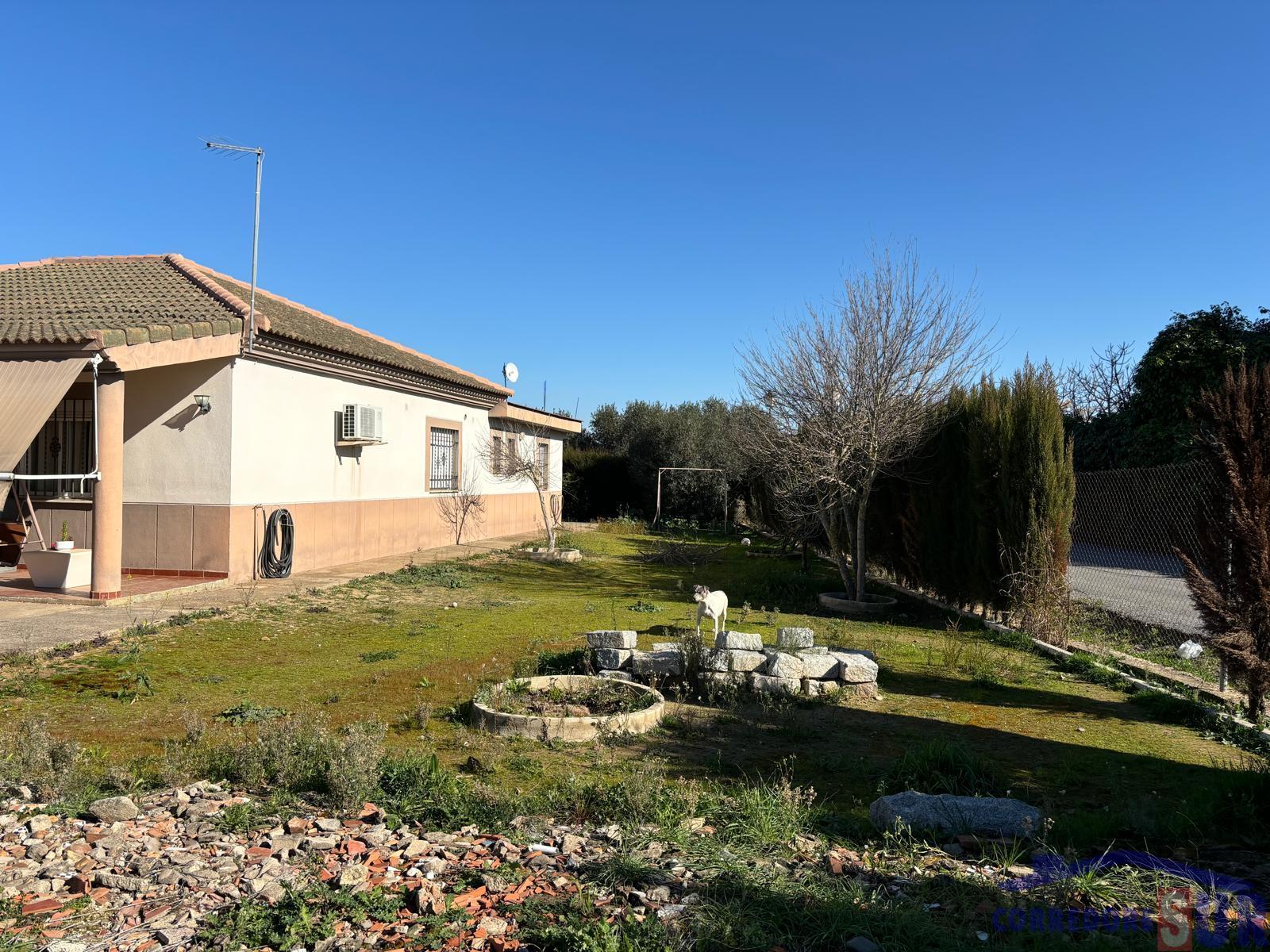 Venta de finca rústica en Córdoba