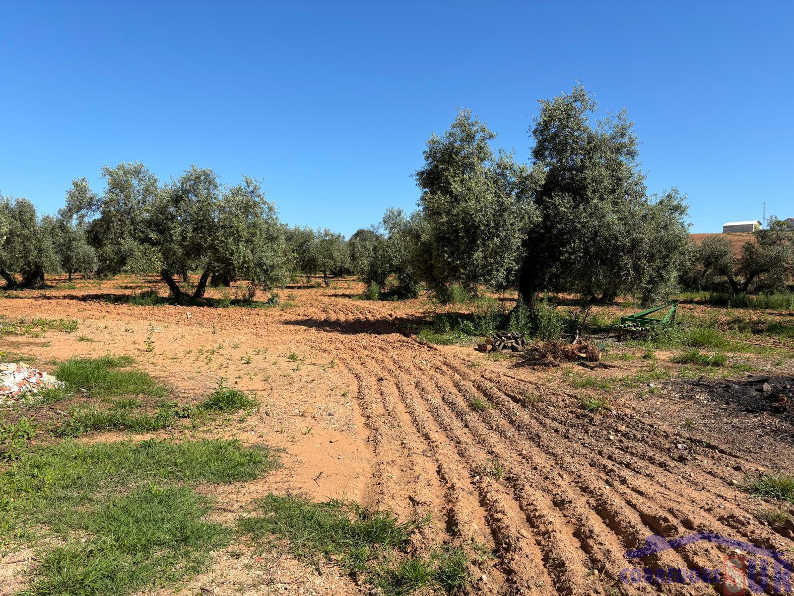 Venta de finca rústica en Córdoba