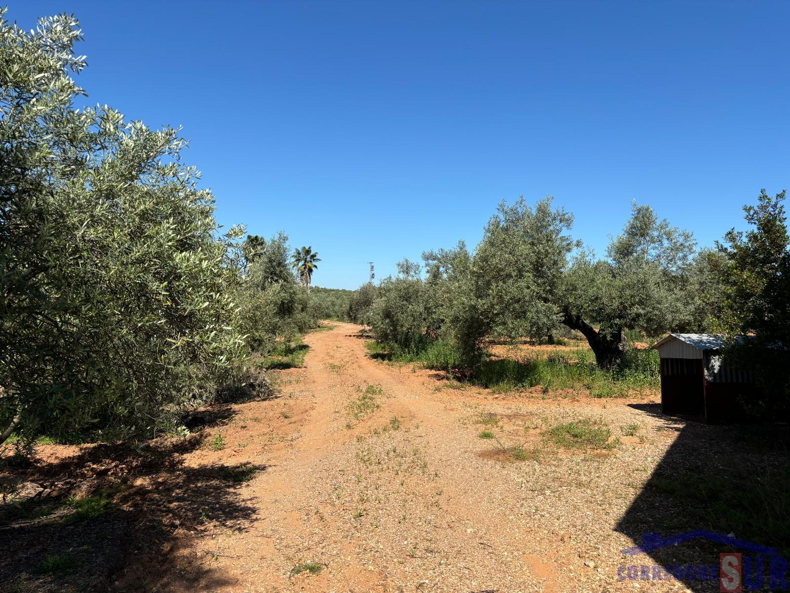 For sale of rural property in Córdoba