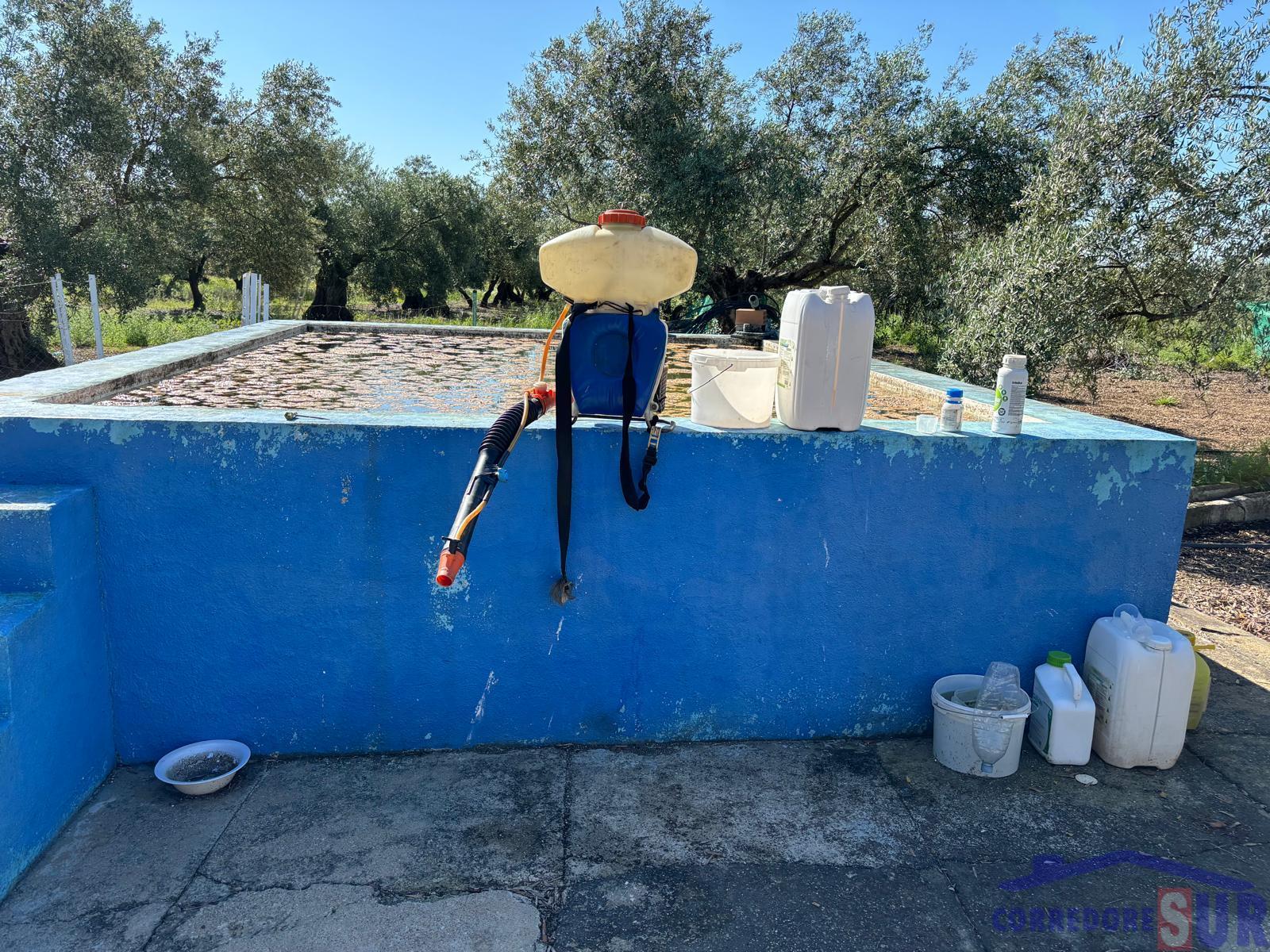 Venta de finca rústica en Córdoba