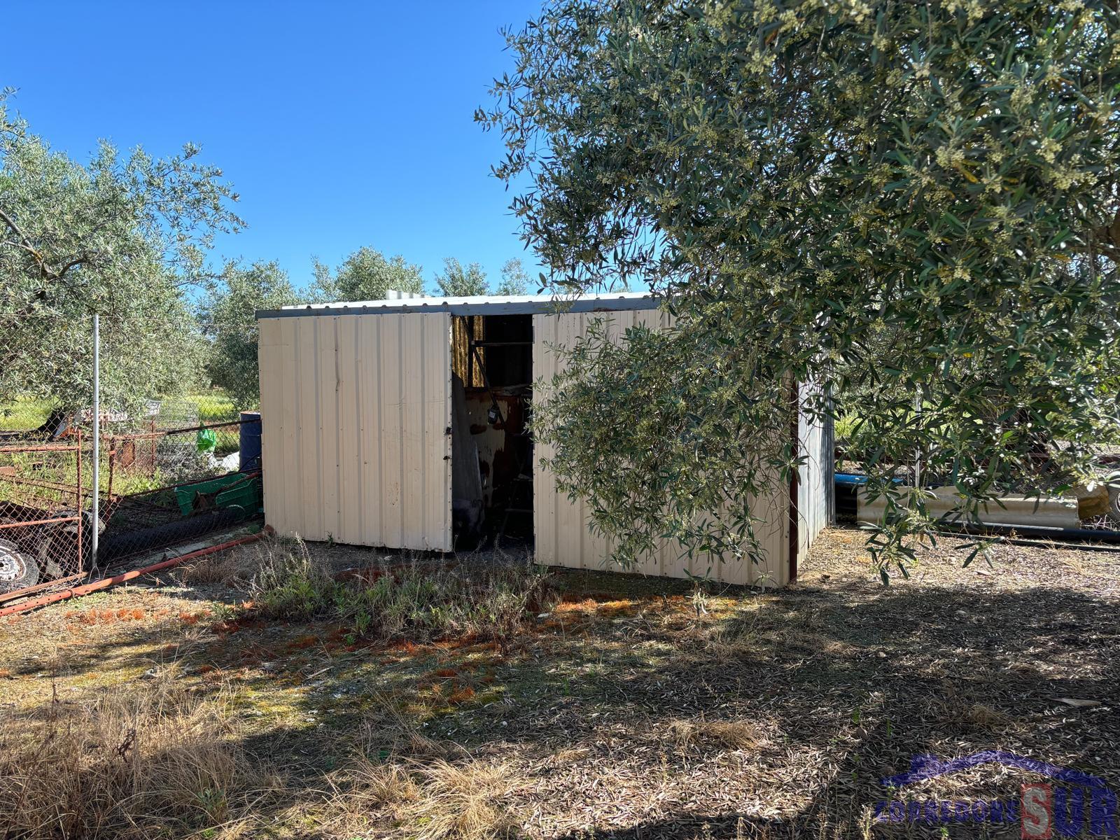 Venta de finca rústica en Córdoba
