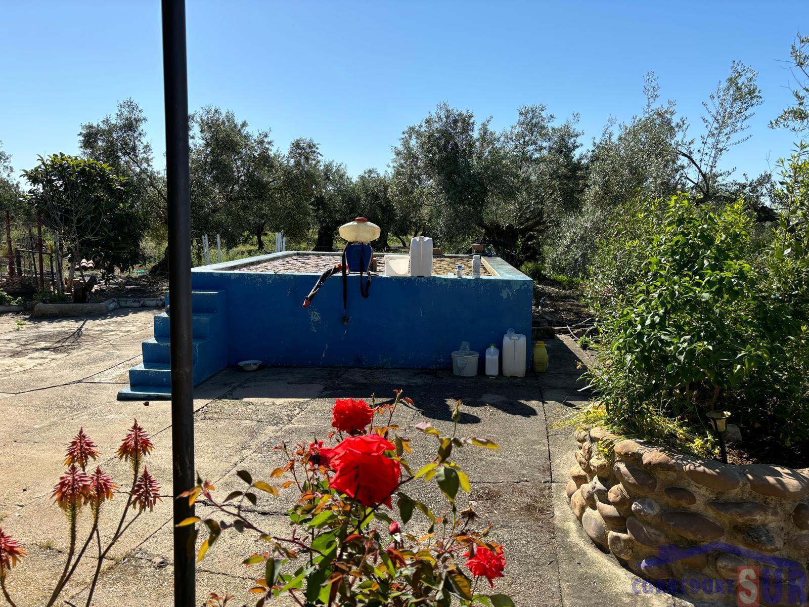 Venta de finca rústica en Córdoba