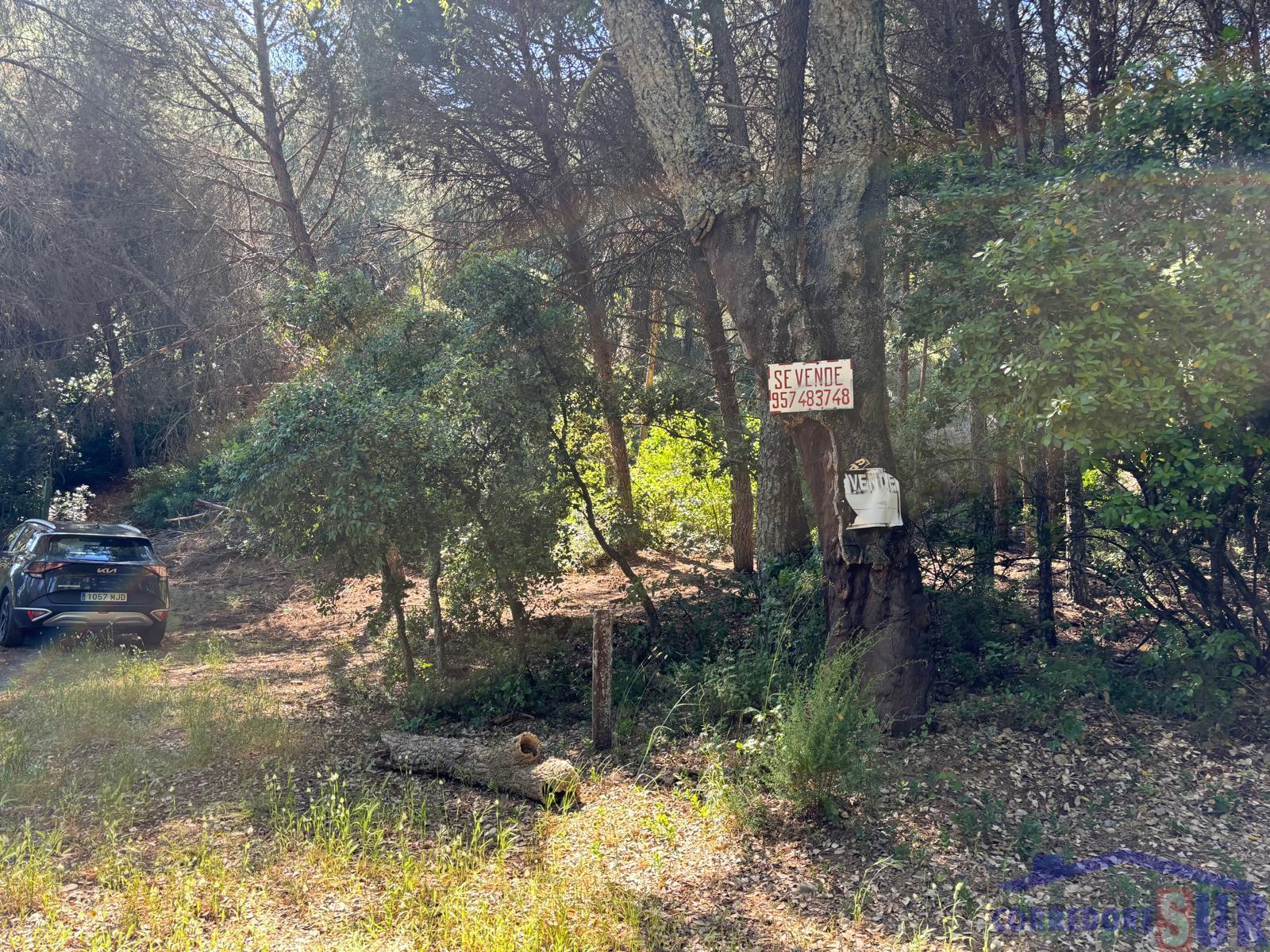 Venta de finca rústica en Córdoba