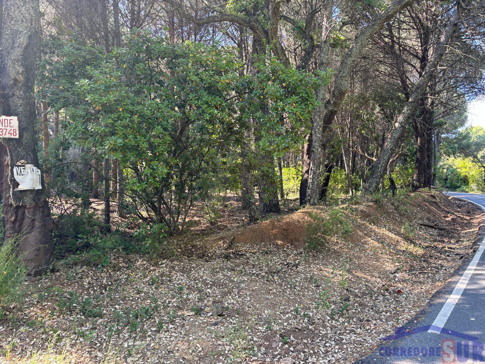 Venta de finca rústica en Córdoba