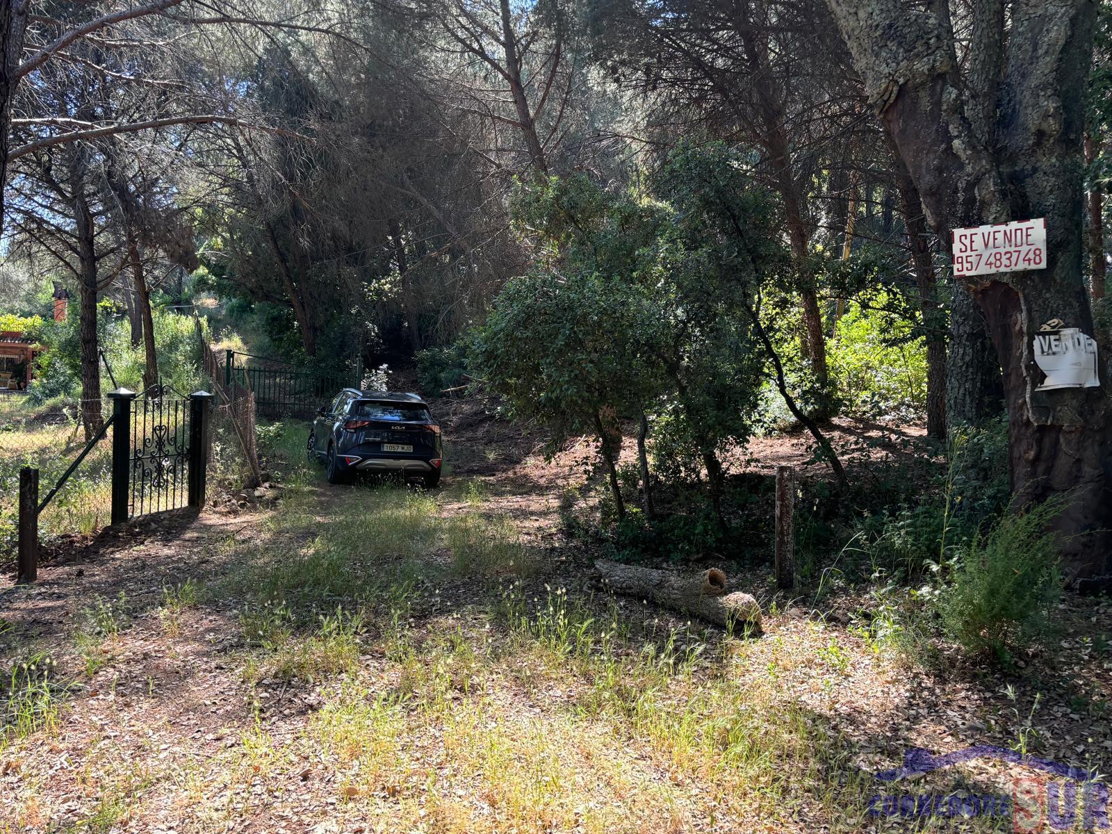 Venta de finca rústica en Córdoba