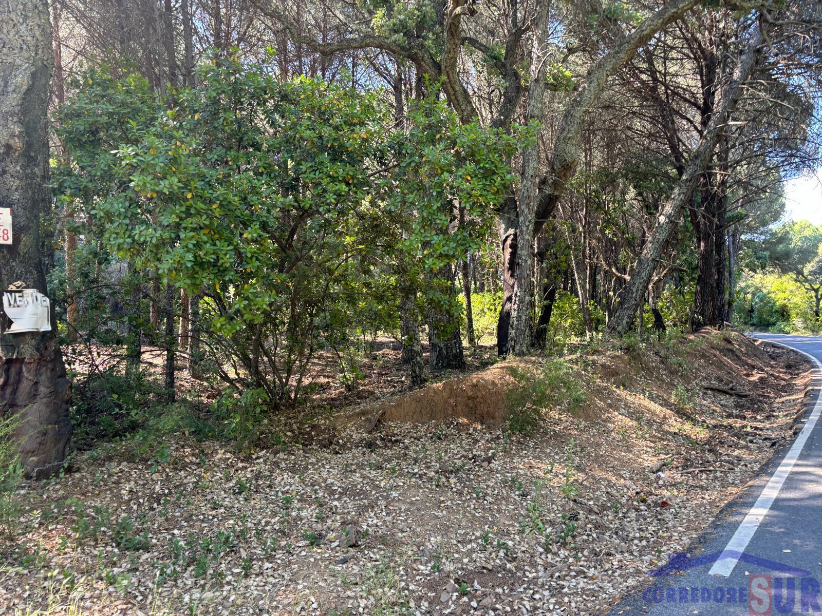 Venta de finca rústica en Córdoba
