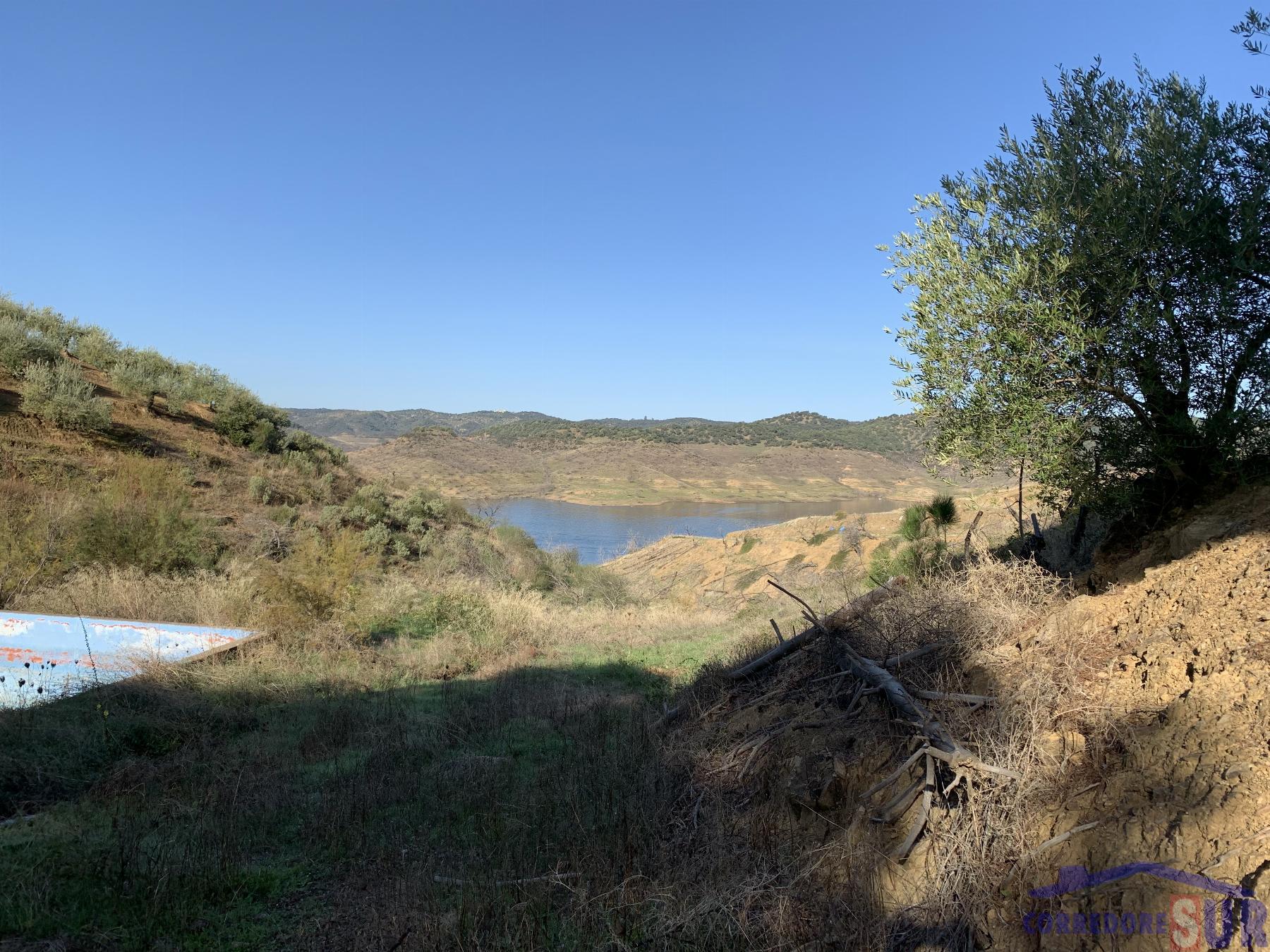 Venta de finca rústica en Córdoba