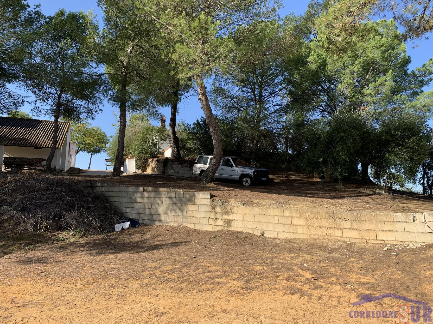 Venta de finca rústica en Córdoba